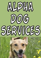 Dog Almighty!  Alpha Sog Services - Dog Walker Chorley
