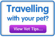 Medicanimal.com - Pet Travel
